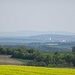 [tour113269 Iffigheimer Berg und Hohenlandsberg].