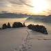 Schneeschuhspur ins Nebelmeer