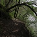 Uferpfad / sentiero sulla riva