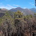 Aussicht von der Montaña del Fuego in Richtung Volcán Martín