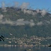 panorama sull'isola di Brissago