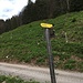 Gute Beschilderung Alpbach.