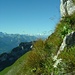 Blick Richtung Mont Blanc