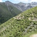 The path above Alp Tavrü