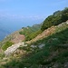 In cima al Monte Faiè 1352 mt, dopodiche' si prosegue sull'ampia cresta verso l'Alpe Pianezza e Colma di Vercio.