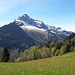 Blumige Maienidylle auf dem Plattenberg, hinten Vorder Glärnisch und Rauti