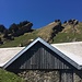 Bizarre Nagelfluhfelsen über der Alp Obernäten