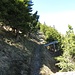 Ein schöner Pfad führt von Wang durch die Lawinenverbauungen auf den Gipfel des Gonzens.
