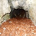 la Grotte du Tscheppeler
