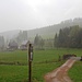 Rehefeld, Gewitter mit einsetzendem Regen