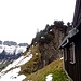Föhrenkante von der Bogarten Alpe - den Grat entlang gehts nach oben
