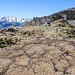 La torbiera dell'Alpe Vesogn