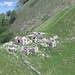 Alpe Tremezzo