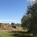 Agriturismo IL MOLINELLO: le tombe etrusche nelle immediate vicinanze (1)