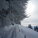 Winter im Züri Oberland