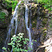 Kleiner Wasserfall am Rückweg