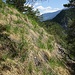 Das dürre Gras in der Ruin Aulta könnte sich leicht entzünden, also Vorsicht