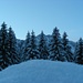 Bei der Lutertannen<br />