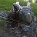 divertente fontanella all'Alpe Prov