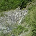 Beim Schuttsammler des Chrüzbaches. <br />Hier in der Umgebung ist der östlichste Aufschluss des Aarmassiv-Urgesteins