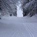 Seit dem letzten Schneefall tags zuvor war erst ein Skitourengänger unterwegs zum Dent du Vaulion. 