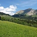 Blick zurück
