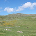 Ansicht des Plomb du Cantal vom Ausgangspunkt.