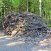 Schonende Forstwirtschaft, Biomasse