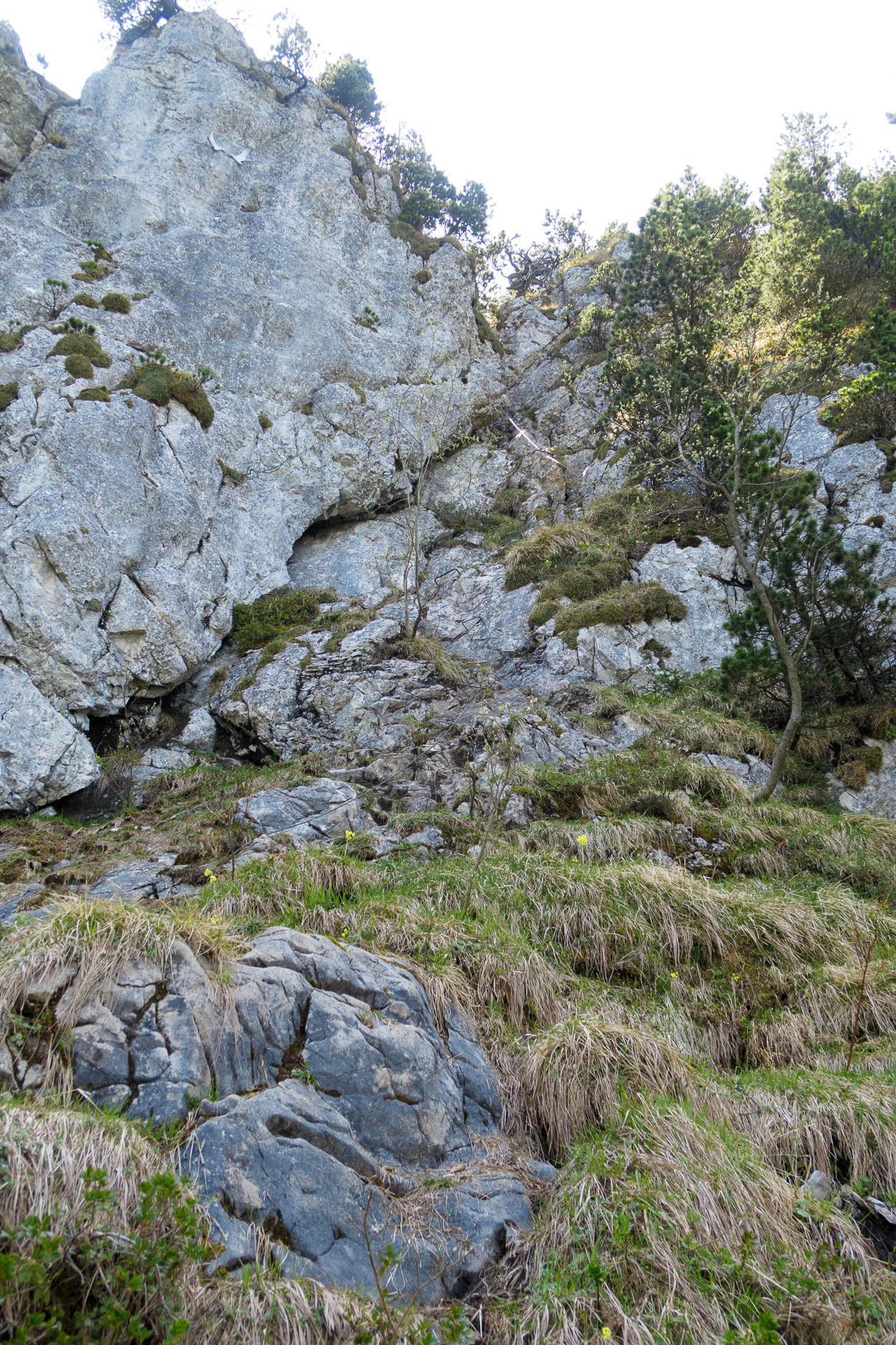 Weiter geht es zum Kamin. In Originalgrösse sieht man... [hikr.org]
