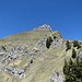 Man bleibt auf dem Grat und trifft vor dem Aufschwung unterhalb der Gipfelfelsen auf die einfache Kletterstelle.