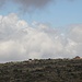 Blick zum Shira Camp, das zur Lemosho Route gehört