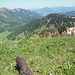 Entspannung auf dem Gipfel mit Tiefblick ins Aubachtal