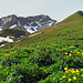 der steile Anstieg zum Silberhorn, im Winter sieht es so aus: klick auf Bild 13<br />[http://www.hikr.org/gallery/photo2354213.html?post_id=120169#1 Bild13]