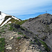 da haben mir die letzten Meter bis zum Silberhorn im Winter besser gefallen: klick auf Bild 20<br />[http://www.hikr.org/gallery/photo2354220.html?post_id=120169#1 Bild20]