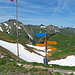Schilderwald bei der Pfälzerhütte