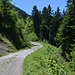 Der restliche Weg verläuft grösstenteils auf einem Alpsträsschen.