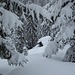 verschneiter Schober im Winterwald