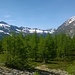 Panoramica verso le Piemontesi valli : Bognanco e Antrona.