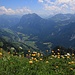 von der Hangspitze Blick hinunter zur Bregenzerach