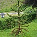 Ungewöhnlicher "Baum" beim Stauseewirt