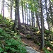 Aufstieg zur Bergstation der Stümpflingsbahn (1484 m)