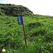 Gelegentlich stecken auch Markierungsfahnen im Gras - sie sind etwa 50 cm hoch und mit CUET beschriftet.