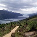 Knapp oberhalb der "Waldgrenze", Blick raus auf den Loch Long, ein Meeresarm, der viele km in die Highlands rein reicht.