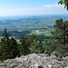 ... mit erweitertem Ausblick aufs "Inseli" und Aareschleife