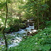 Hammersbach außerhalb der Klamm