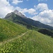 Auf dem Steig zwischen Gehren und Hochkrumbach - bunte Wiesen und ein beeindruckender Gipfel