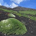 Wunderschöne Vulkanlandschaft am Fusse der Pizzi Deneri