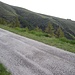 The paved road leading to Capanna Monte Bar (visible on the right).
