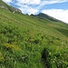 Ich folge der Wiesenspur nordwärts über die sanften Grashänge des Monte Prada.