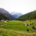 Alpe Pozzo dal sentiero sopra